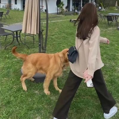 轮上英雌